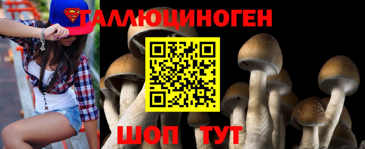 Псилоцибиновые грибы Magic Shrooms Пушкино